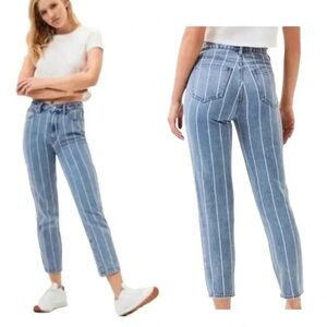 PACSUN Mom Jeans Blue Jean Denim Stripe Carpenter size 29